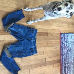Size 28R equestrian-style jeans. Goode Rider.